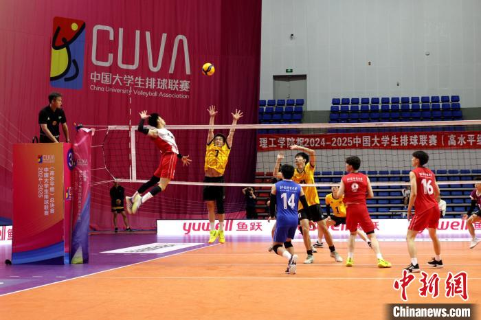 厦门落幕的2024-2025中国大学生排球联赛高水平组